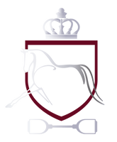 Dressage Queen Dream 
